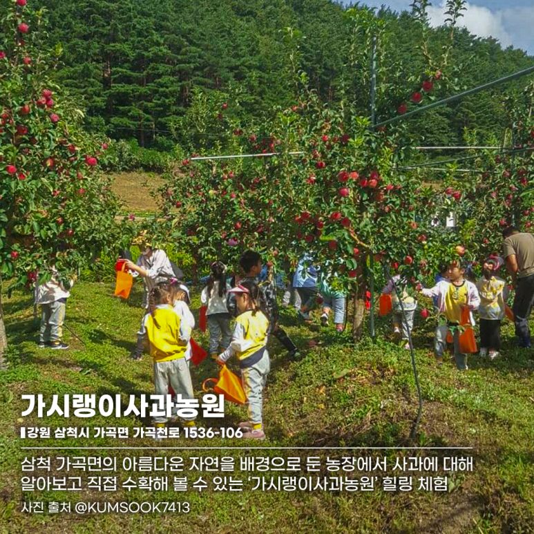 가시랭이사과농원 이미지