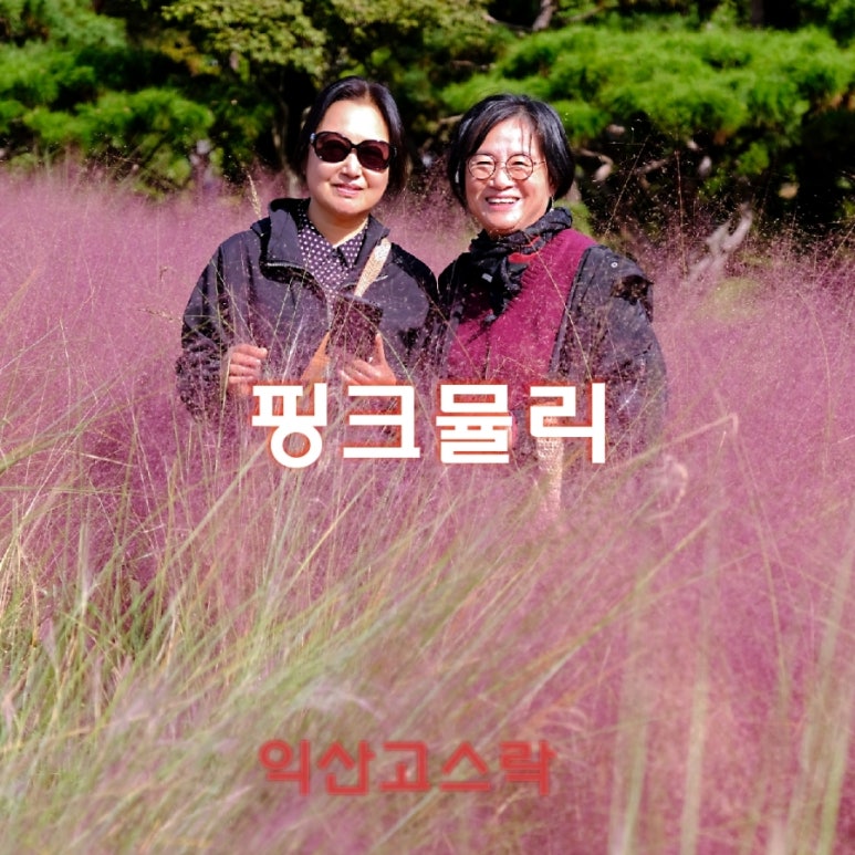 누리아이가만들어가는세상 이미지