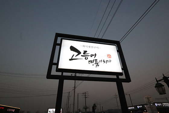 고등어명품이되다 이미지