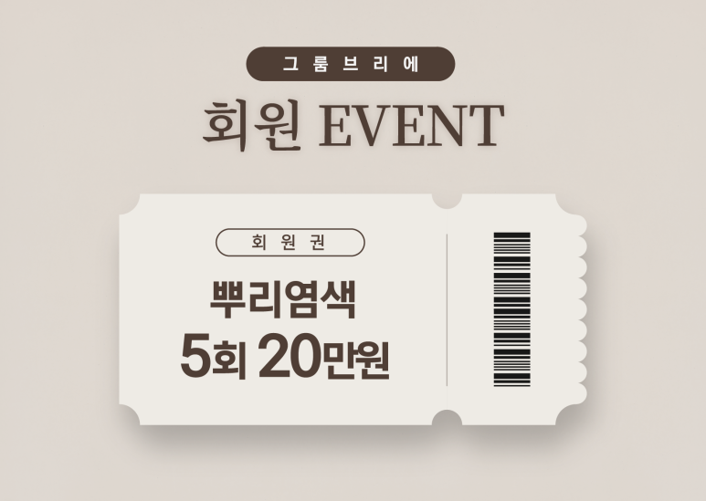 브리에 이미지
