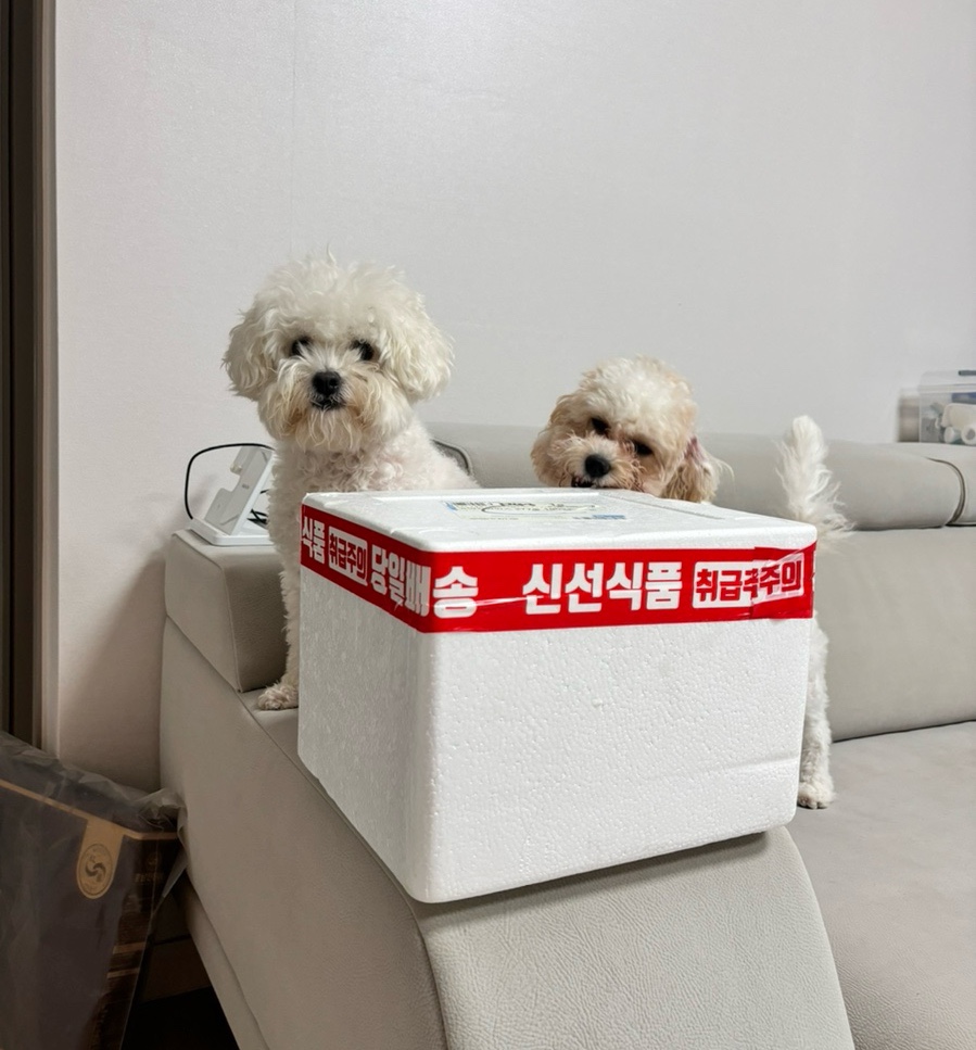 대진축산유통 이미지