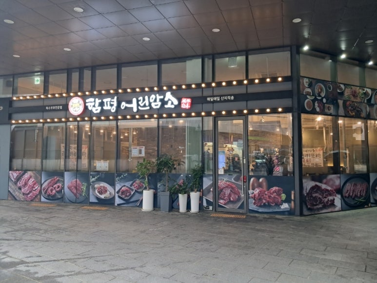 함평어린암소 이미지