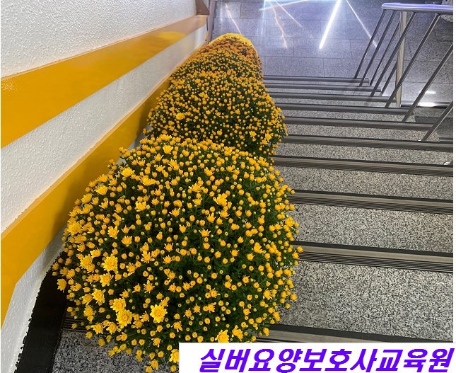 우리실버요양보호사교육원 이미지
