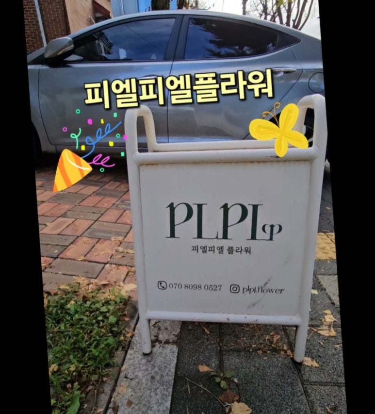 피엘피 이미지