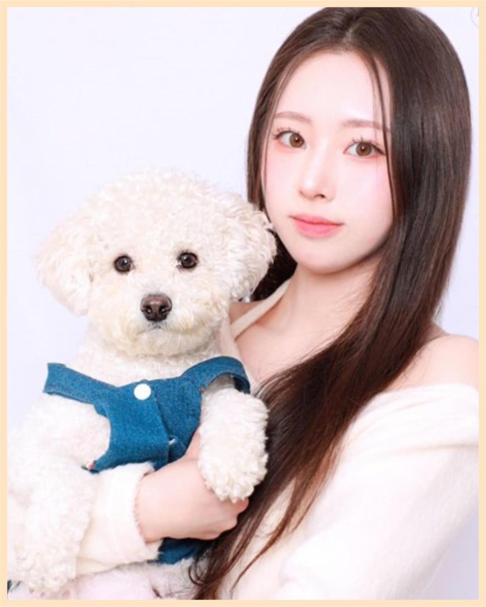 다인어리 이미지