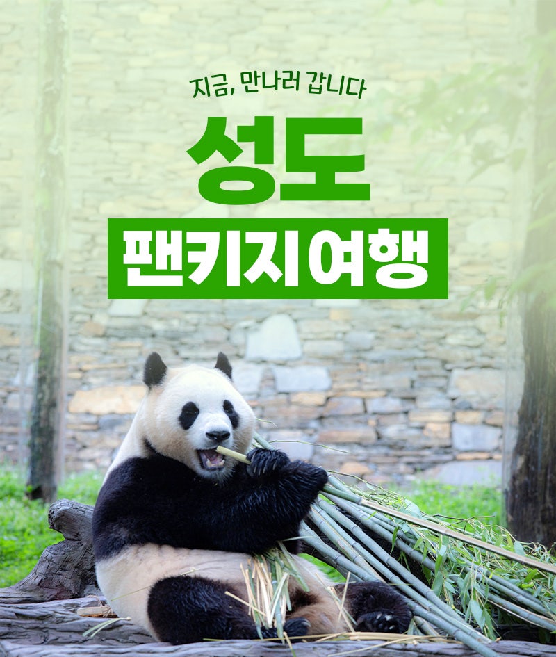 판다김밥 이미지