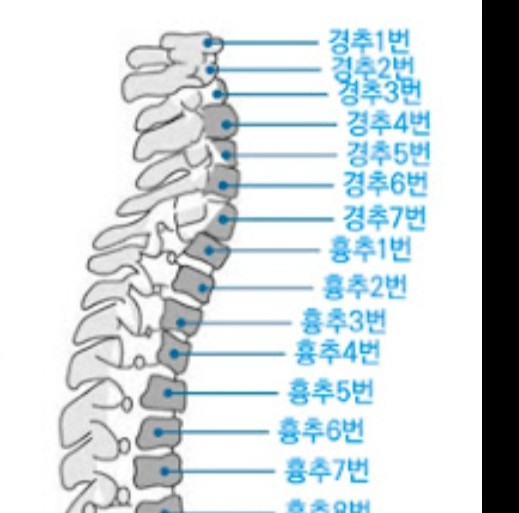 강남수기요법센터 이미지