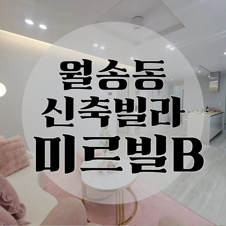 미르빌 이미지