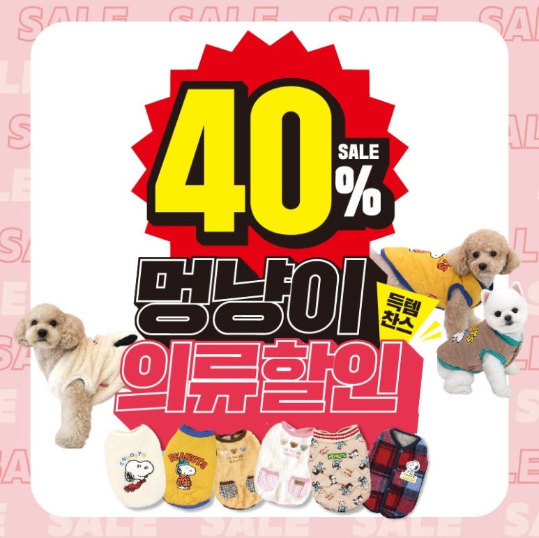 목련의류 이미지