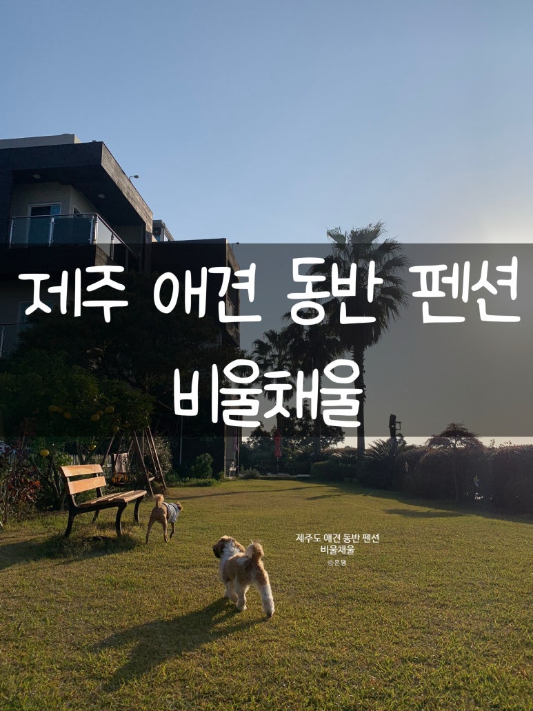 비울채울 이미지