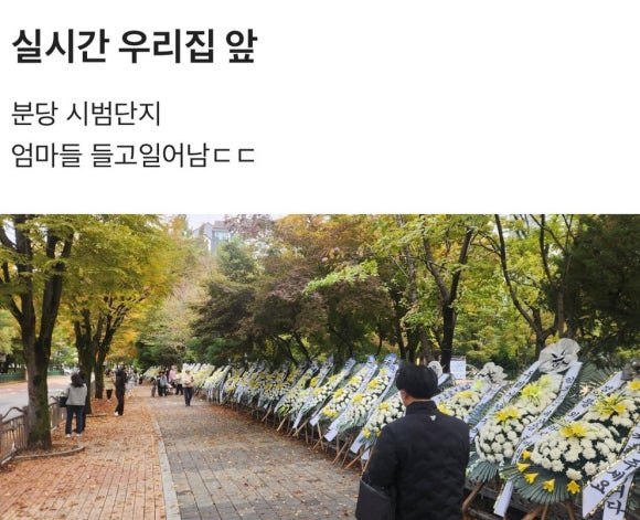 서현초등학교 이미지
