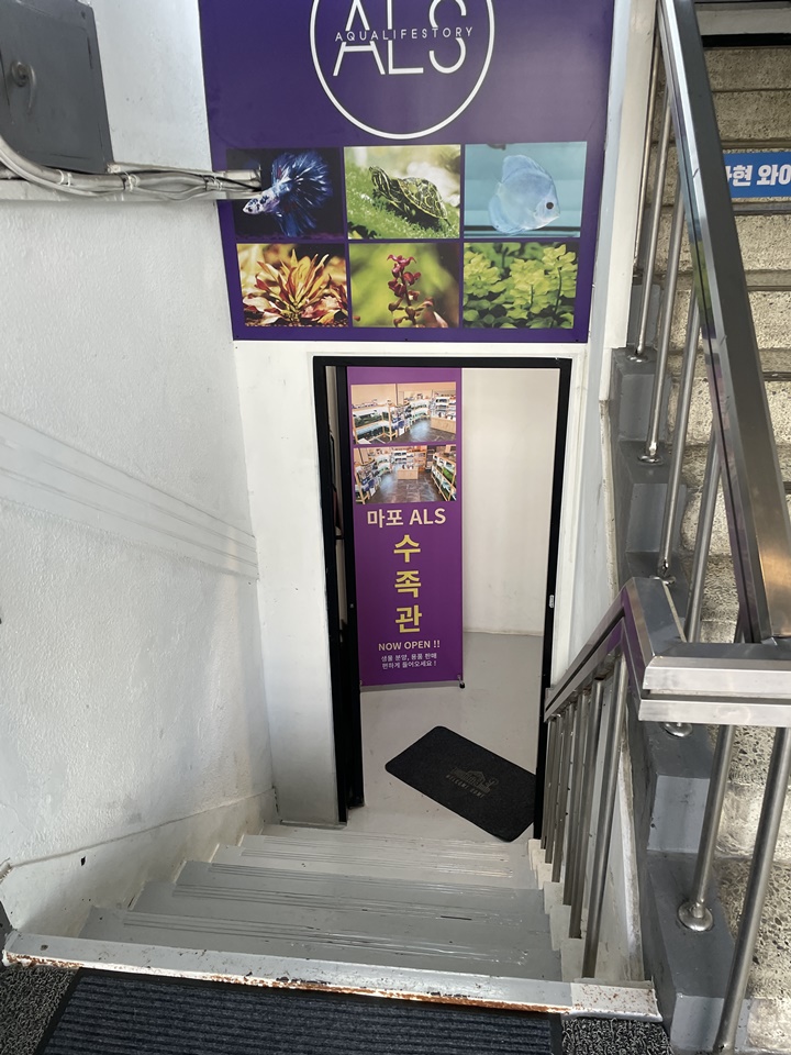 매니아수족관 이미지