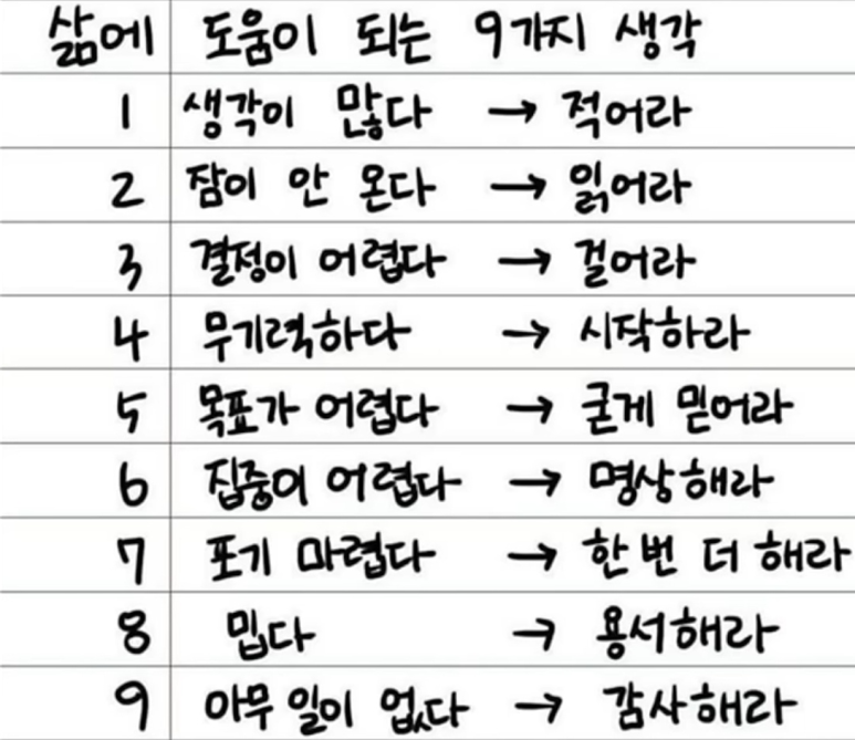 라이프인카 이미지