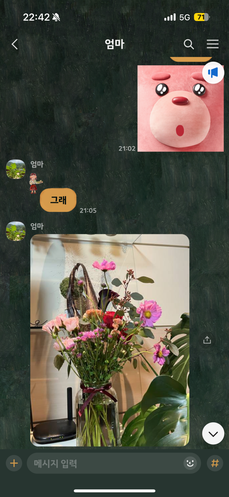 디어디테 이미지