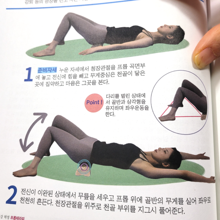 프롭 이미지