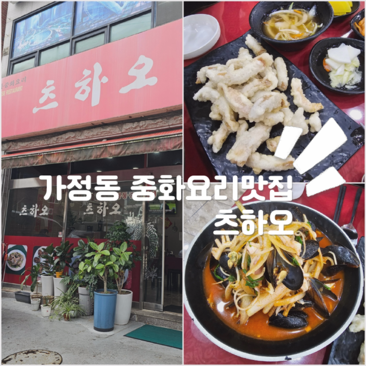 츠하오 이미지