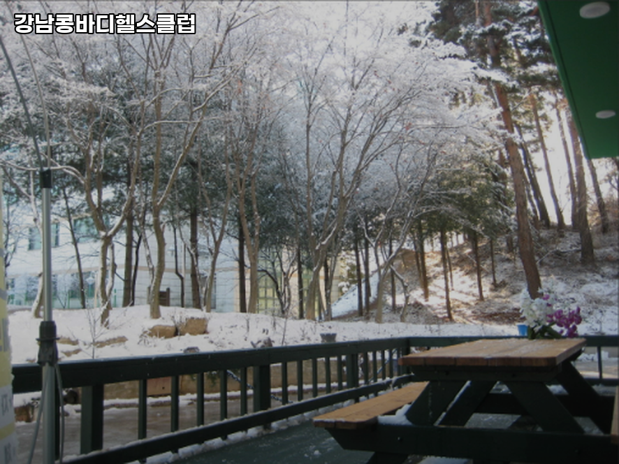 강남콩바디헬스클럽 이미지