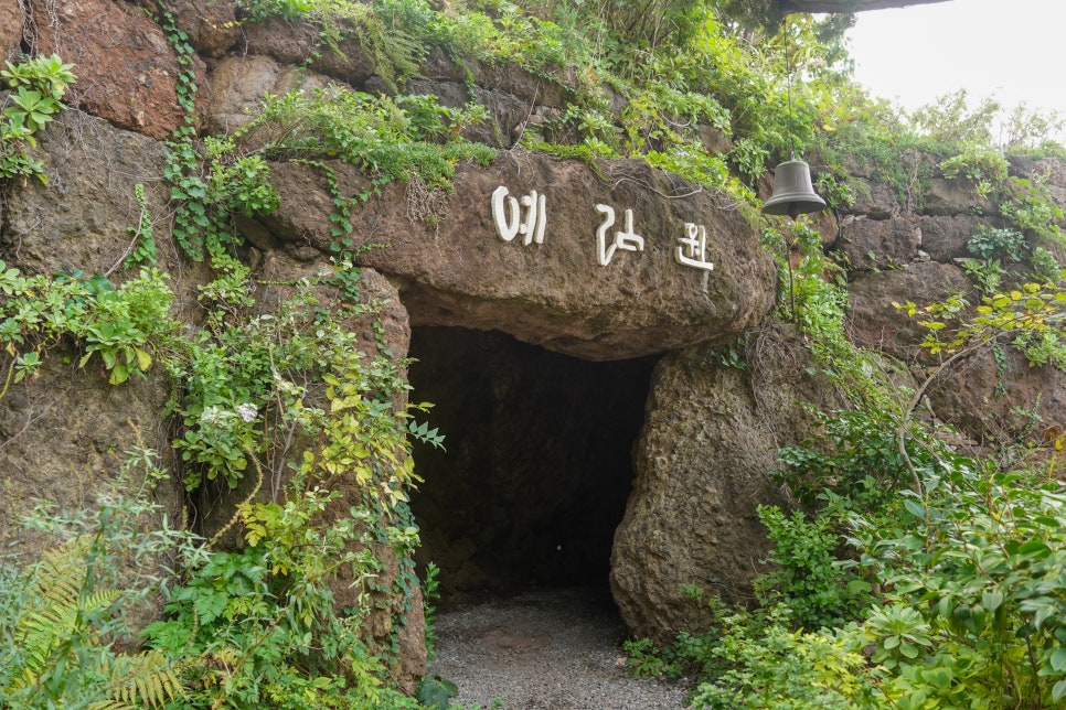 예림식물원 이미지