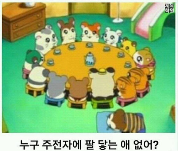 발루 이미지