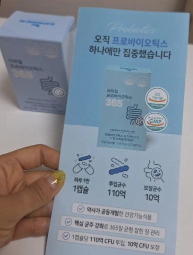 라파힐 이미지