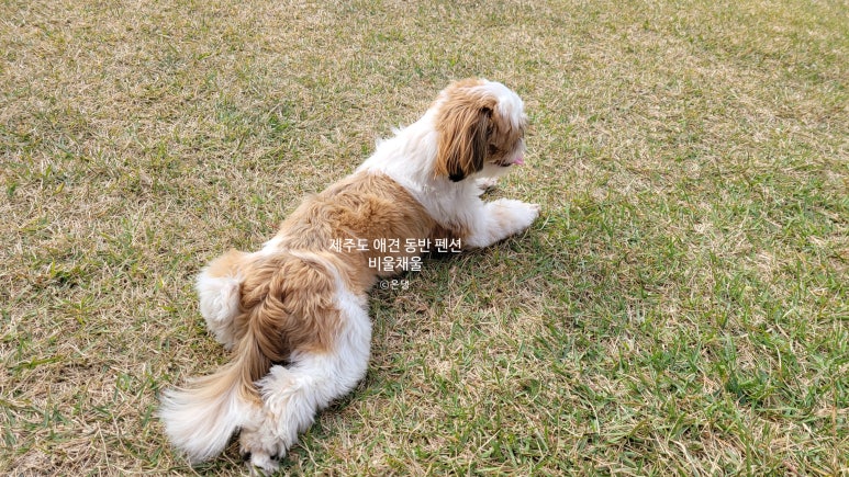 비울채울 이미지