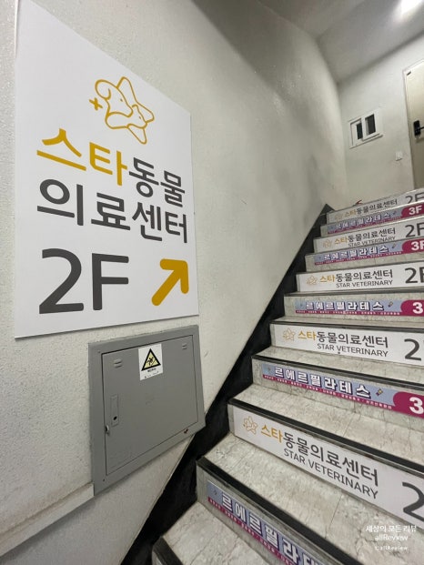 파리바게뜨수정구청 이미지