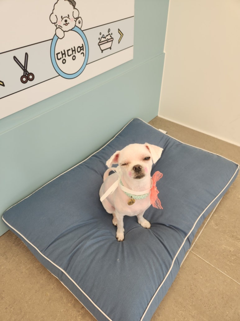 포도미용실 이미지