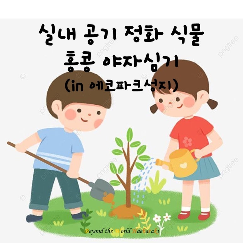 에코파크성지 이미지