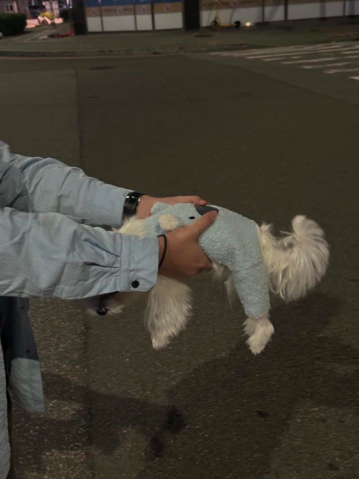 버거운버거 이미지