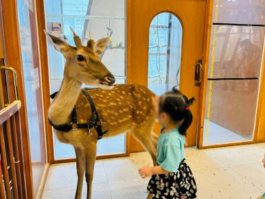 문학어린이집 이미지