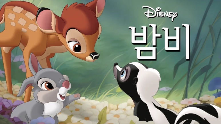 밤비 이미지