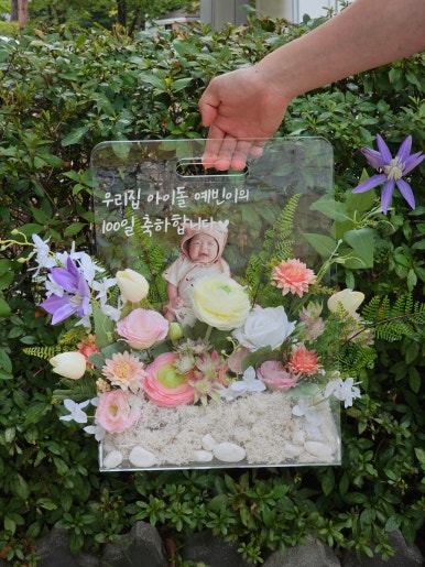 모든날;꽃 이미지
