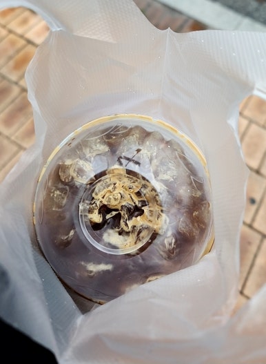 더벤티녹양역점 이미지