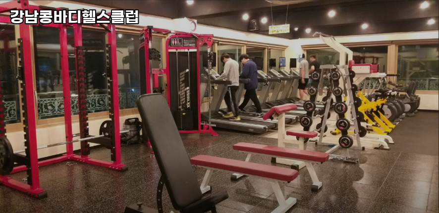 강남콩바디헬스클럽 이미지