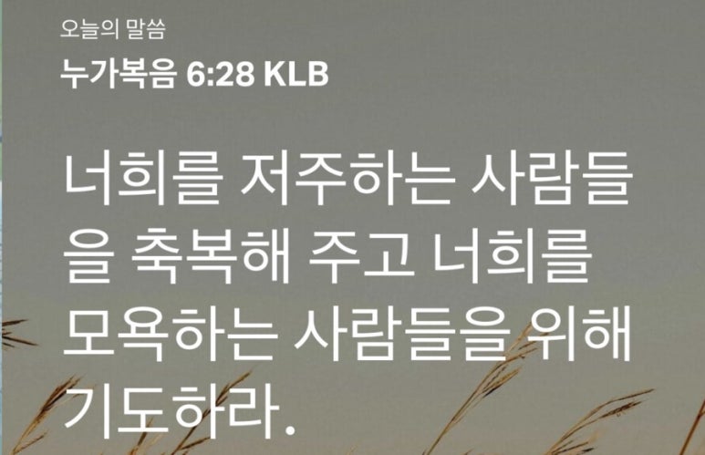 (주)와이즐리 이미지