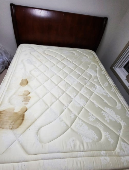 대구침대쇼파세탁 이미지