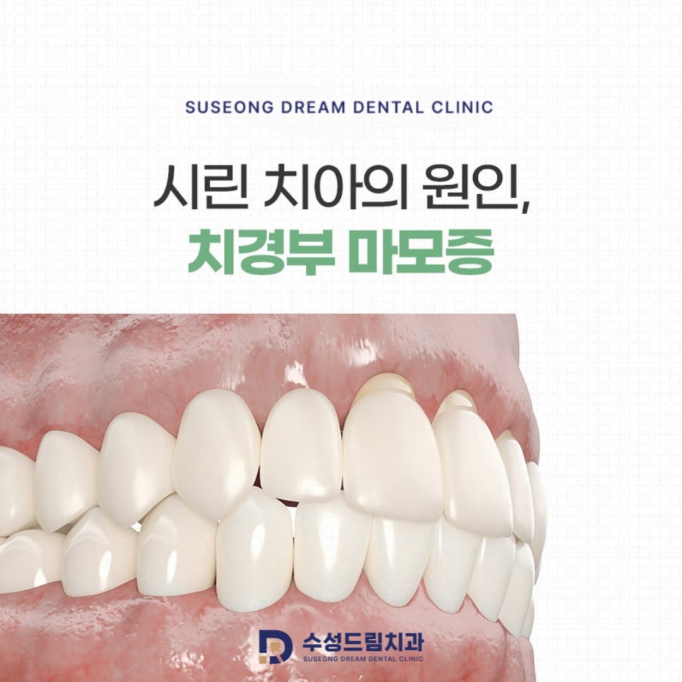 수성드림치과 이미지