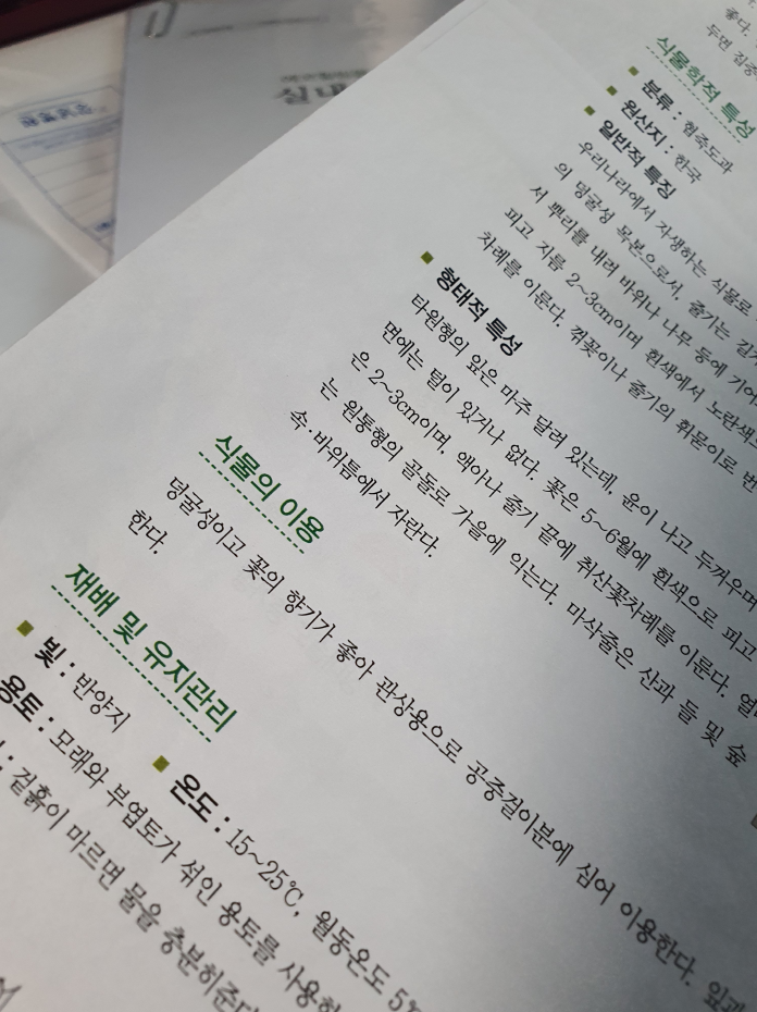 이명조경 이미지