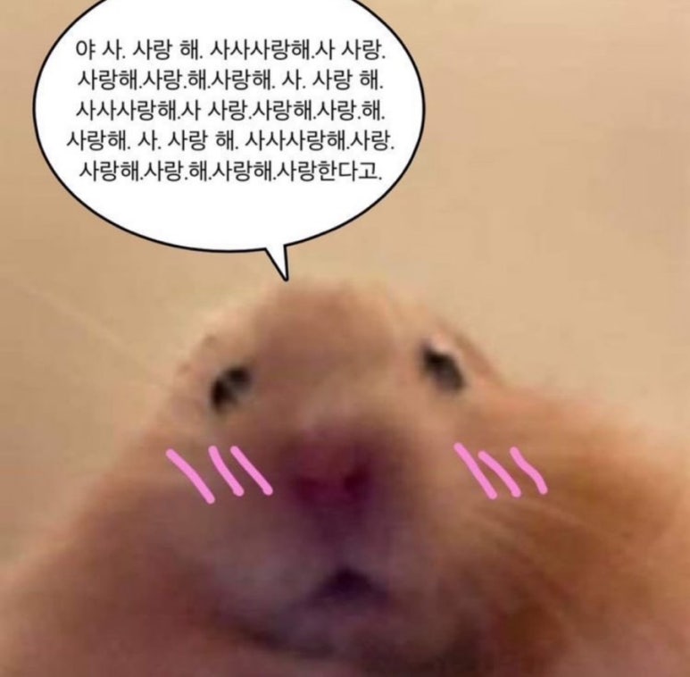 도니도니랩 이미지