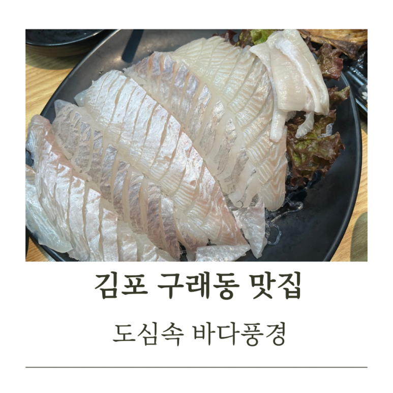 도심속바다풍경 이미지