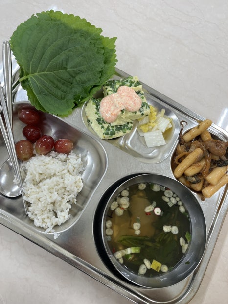 학교급식 개미 이미지