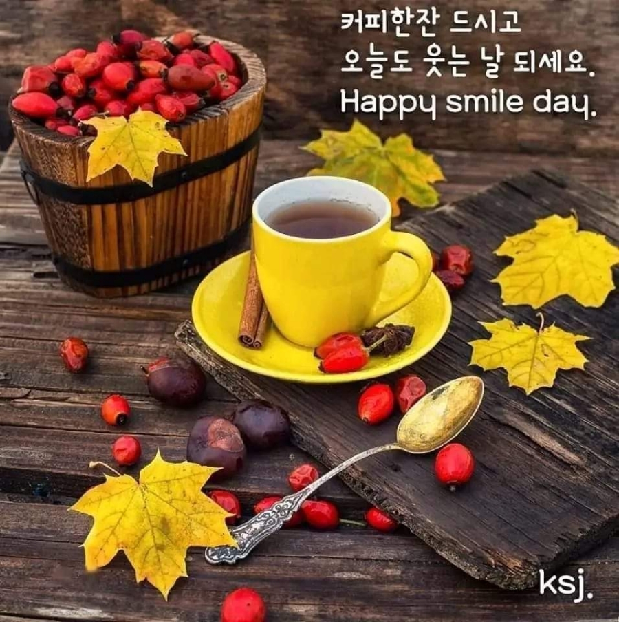 낭만포차한식점심부페 이미지