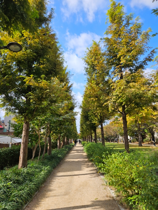 숲길 이미지