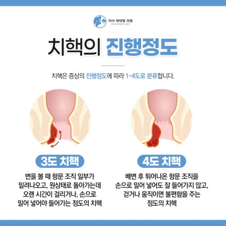 미사위대항의원 이미지