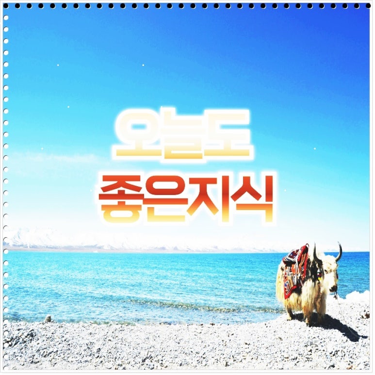 (주)글로벌로지스틱스 이미지