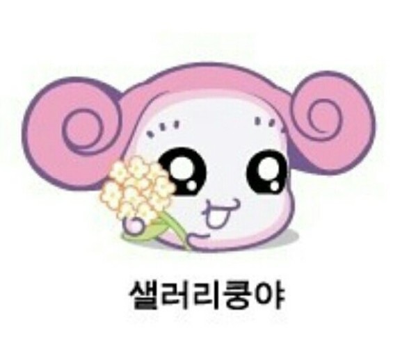 케이스타일 이미지