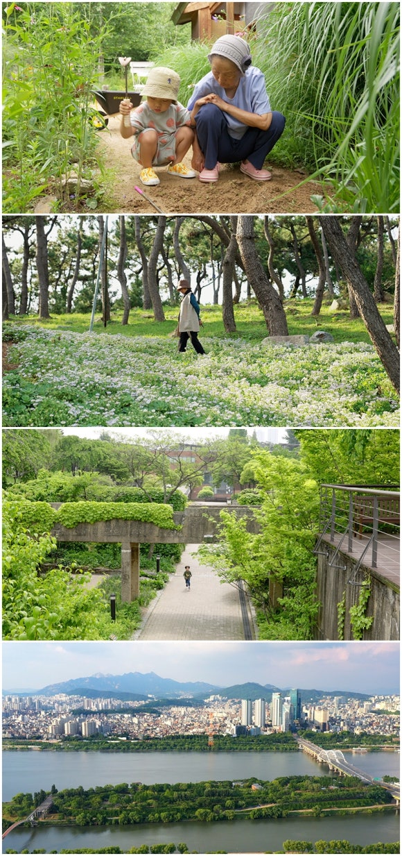 땅 영화사 이미지