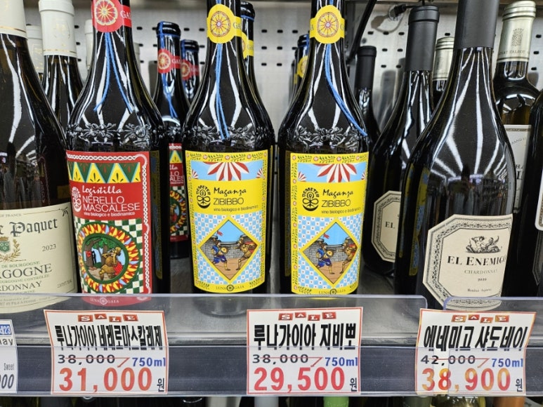 가이아인터내셔널 이미지