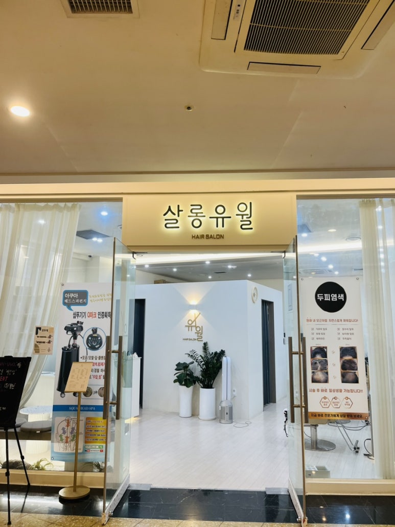 살롱유월 이미지