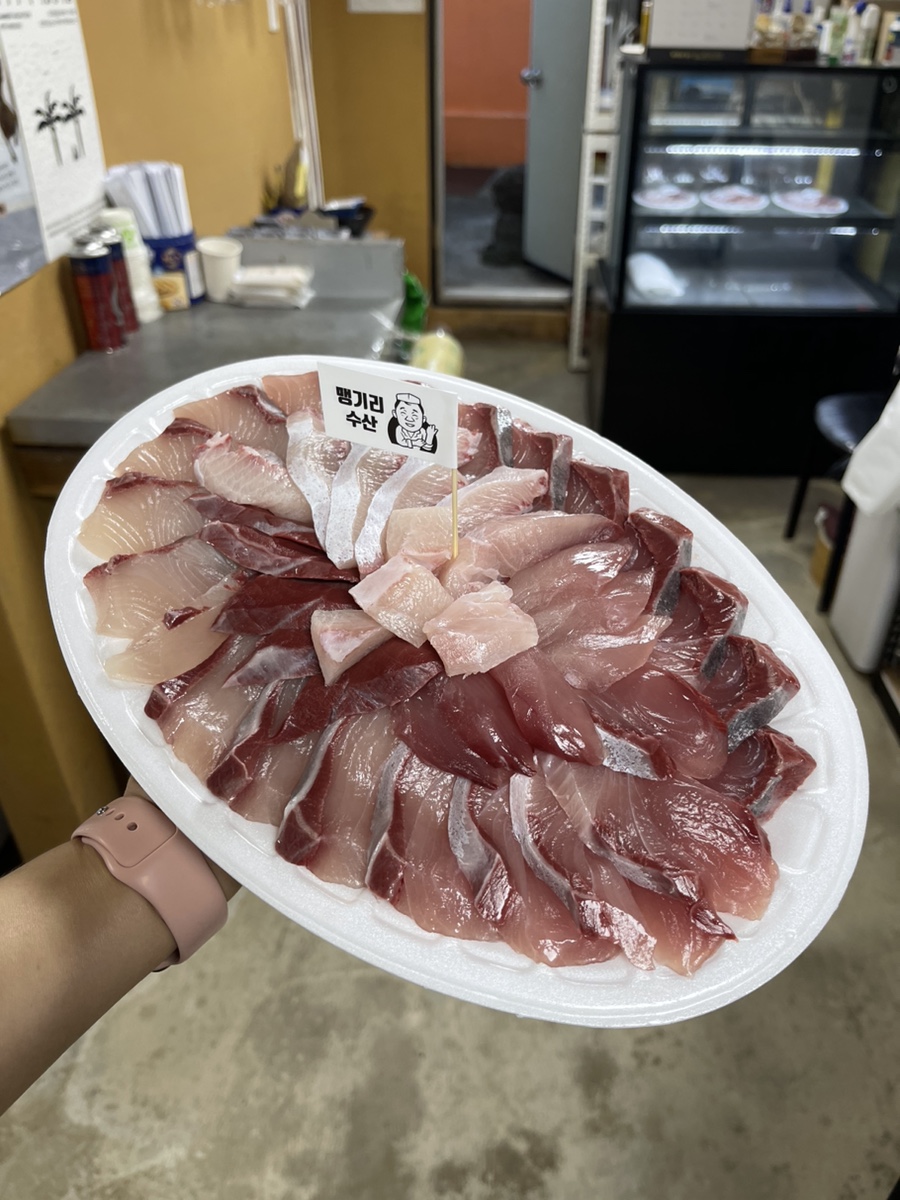 야옹수산 이미지
